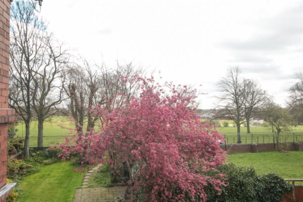 Town Fields, Doncaster